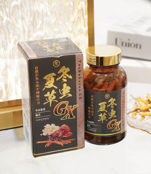 冬虫夏草GXサプリメント